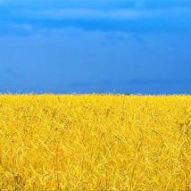 Продаж готових квартир